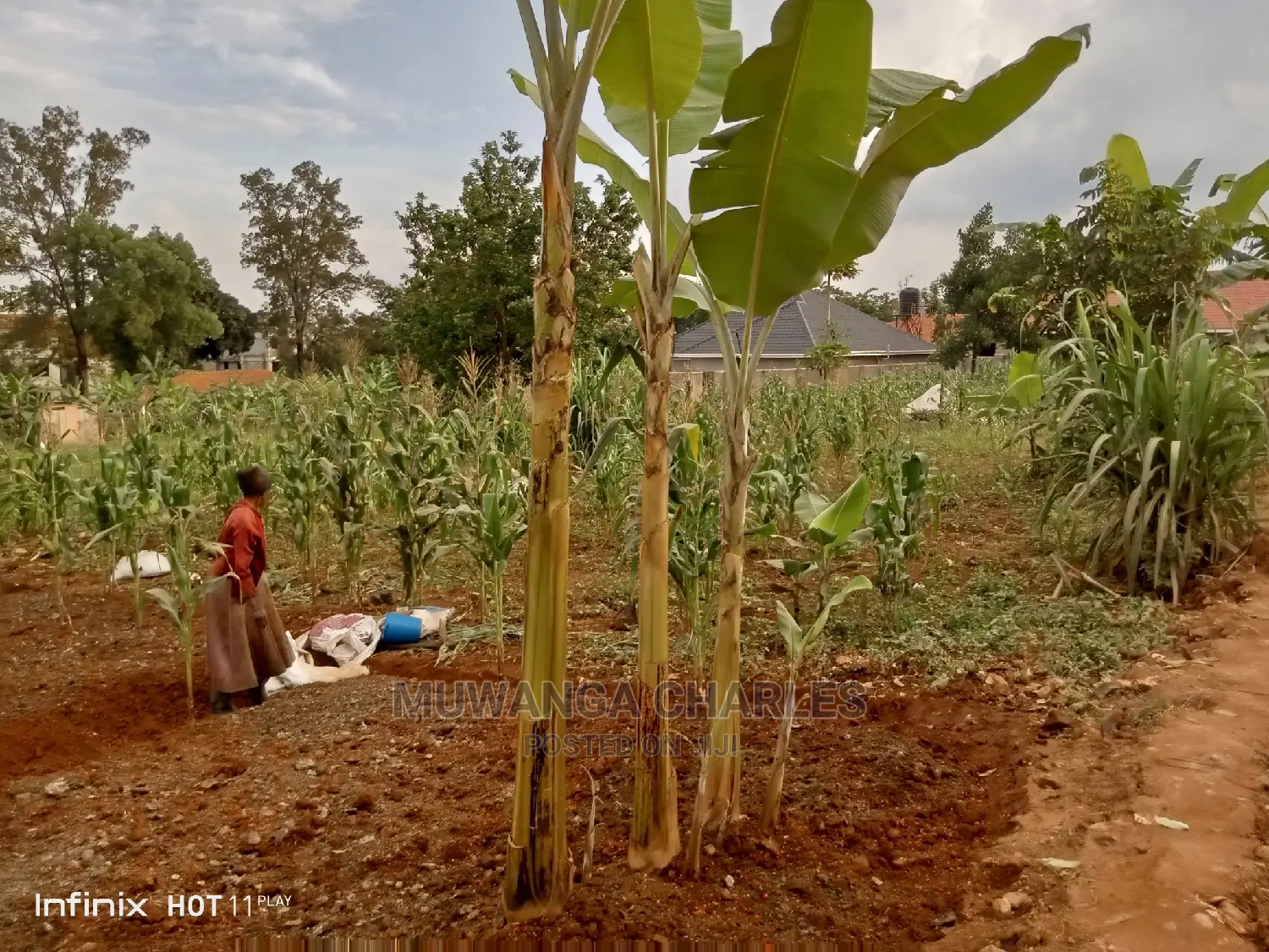 20decimals Plot of Land for Sale in Kungu in Central Division