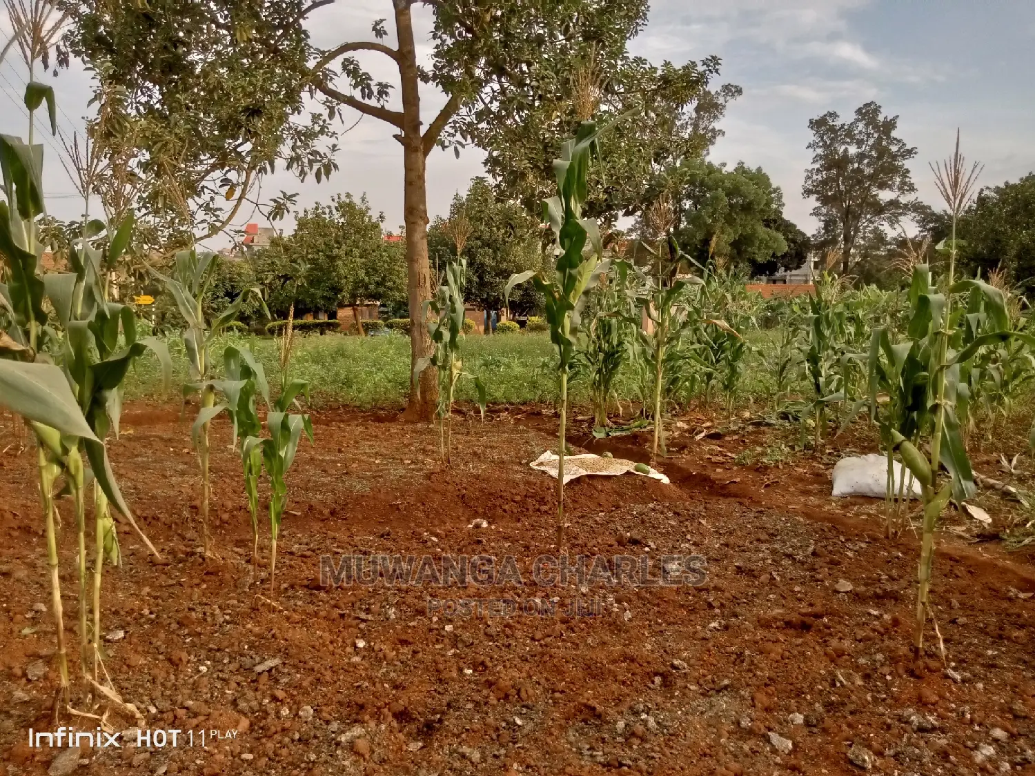 20decimals Plot of Land for Sale in Kungu in Central Division