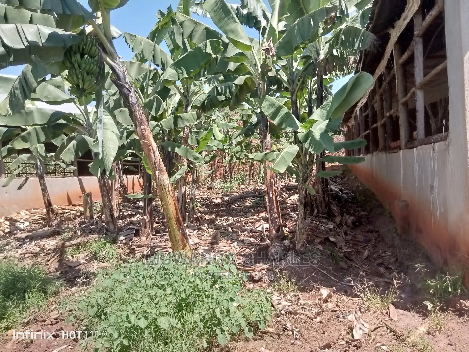 5.3acres of Land for Sale in Kiwenda in Central Division