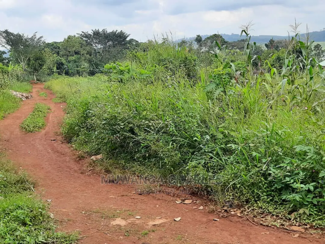 12decimals Plot of Land for Sale in Buwate in Central Division