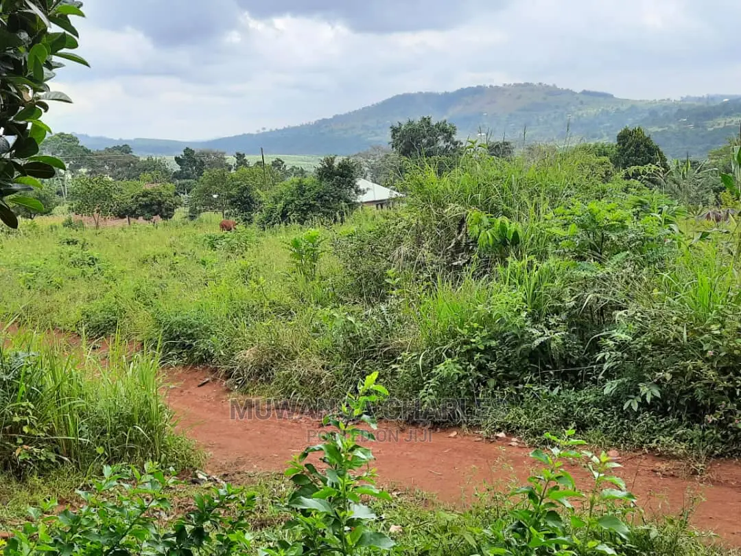 12decimals Plot of Land for Sale in Buwate in Central Division