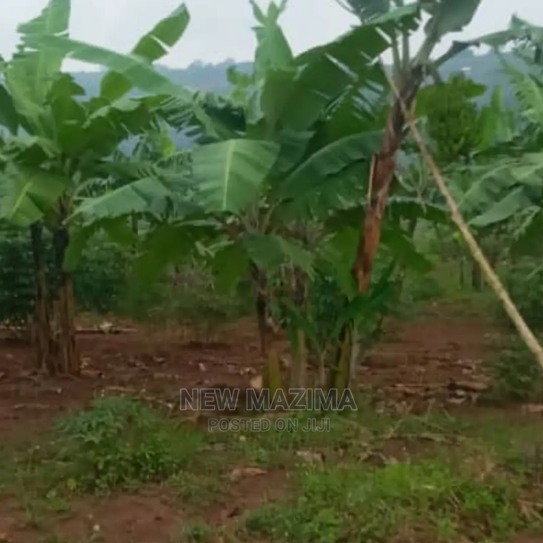 Half Acre Onquicksale Heart of Nakawuka Katwe With Lake View in Central Division