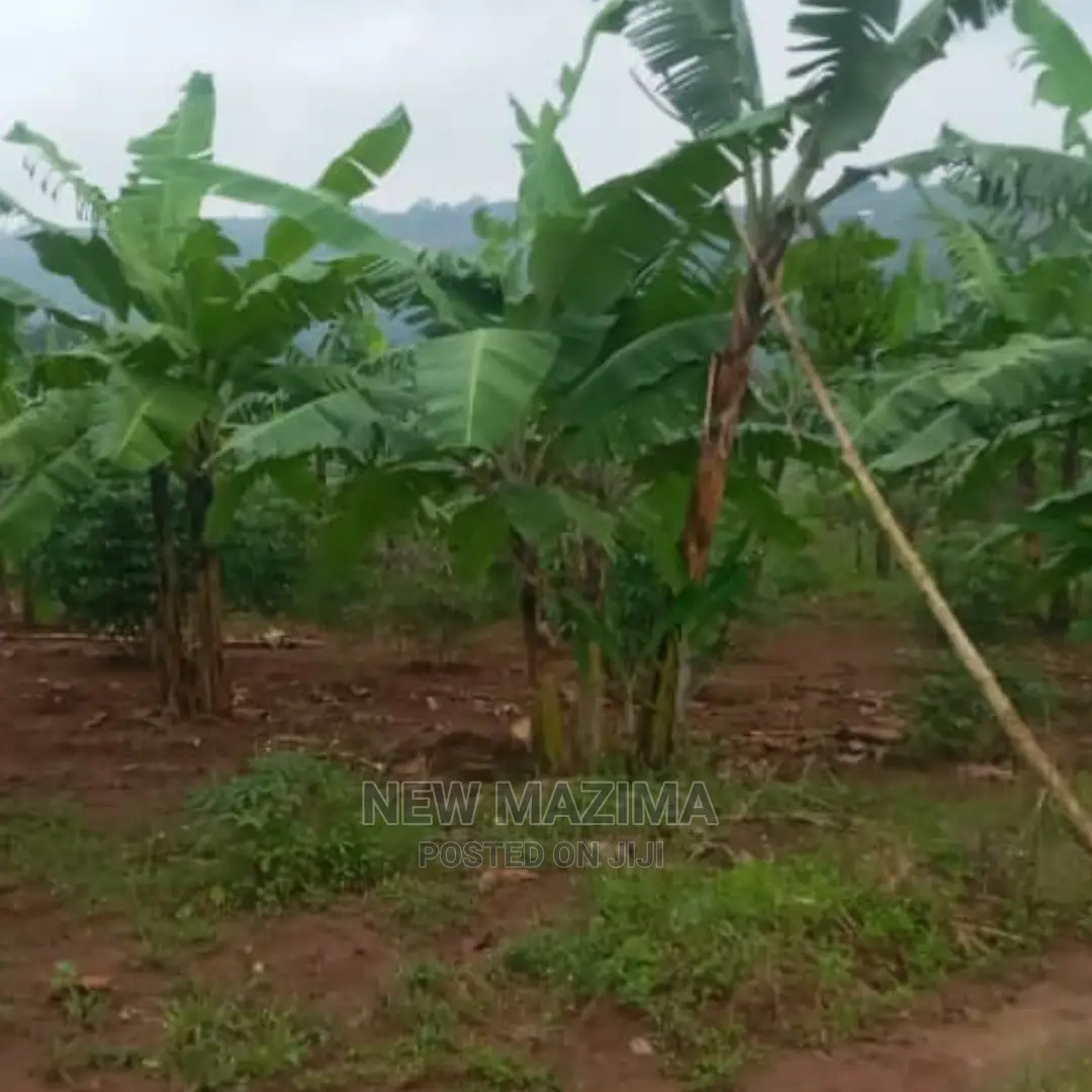 Half Acre Onquicksale Heart of Nakawuka Katwe With Lake View in Central Division