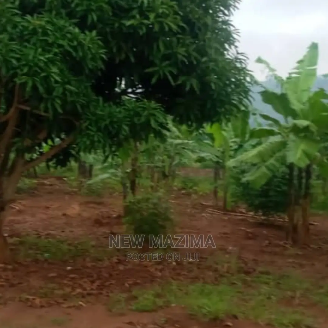 Half Acre Onquicksale Heart of Nakawuka Katwe With Lake View in Central Division