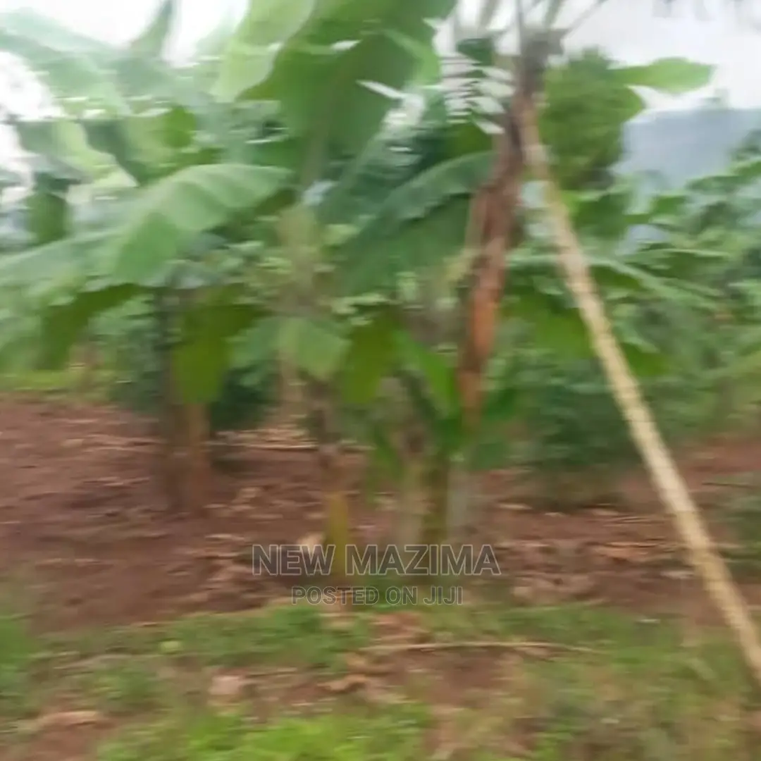 Half Acre Onquicksale Heart of Nakawuka Katwe With Lake View in Central Division