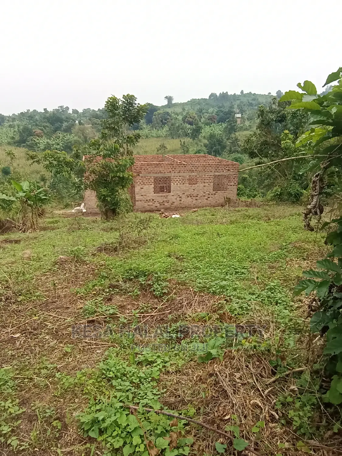 Good View Plots on Bombo Rd U Branch at Janan Sch. in Bombo TC