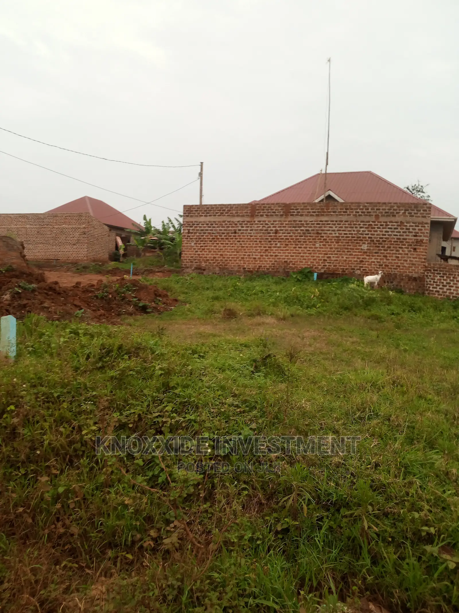 Plot for Sale 100x50ft at 20m Ugx Lukwaga Town Sentema Road in Central Division