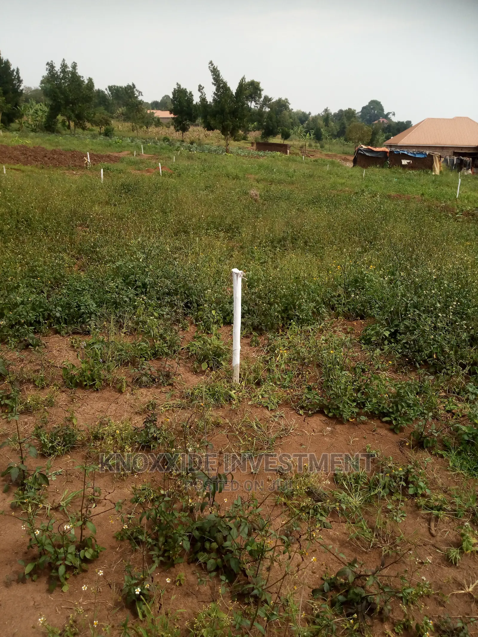 Plot for Sale 100x50ft at 20m Ugx Lukwaga Town Sentema Road in Central Division