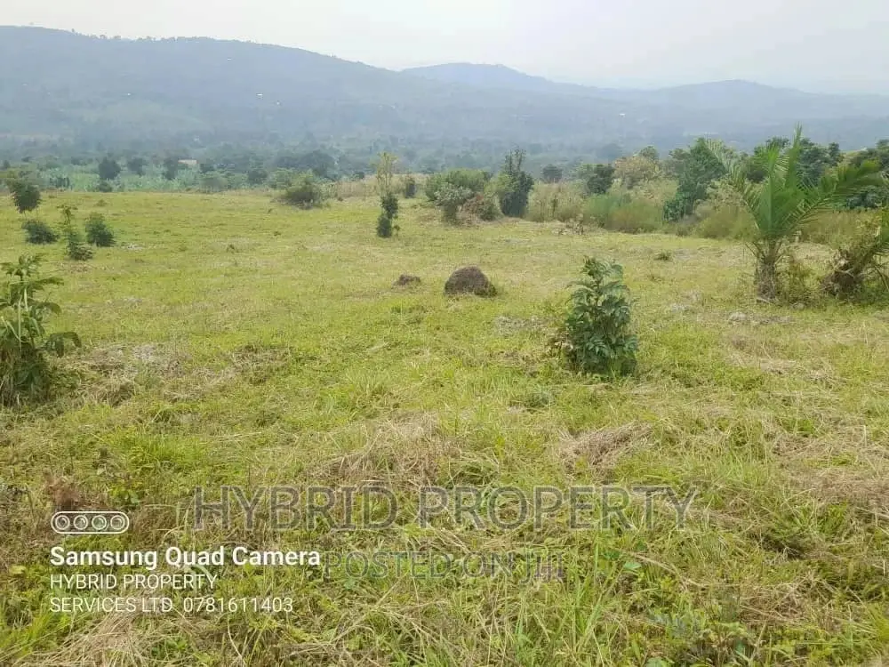 8acres of Land for Sale at Namayumba Budaali~Hoima Road. in Namayumba