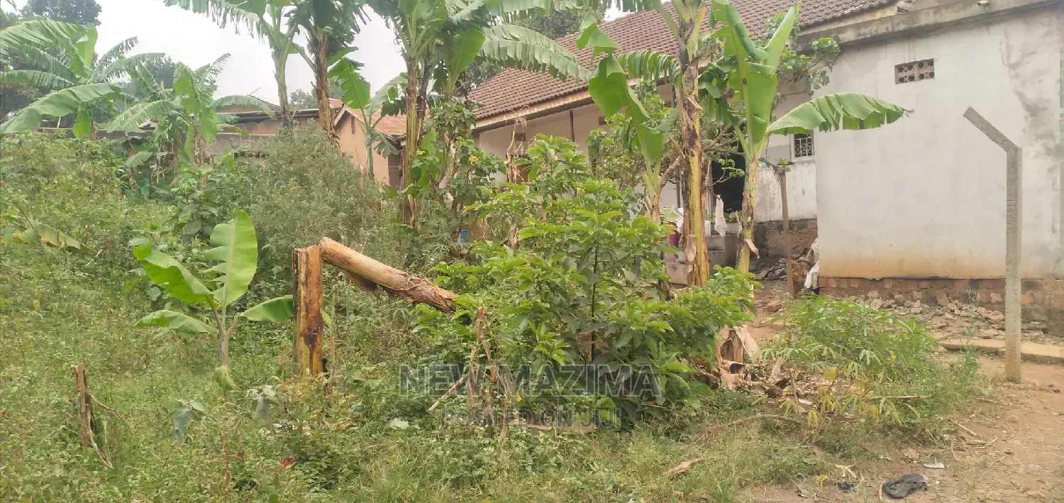 Very Prime Plot Onquicksale Near Freedom City Along Ntebe Rd in Division A