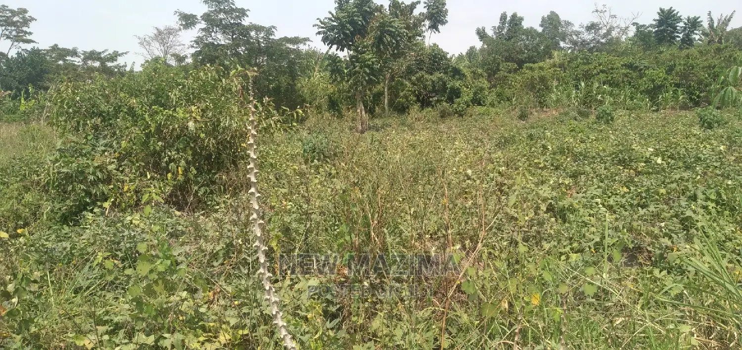 Very Hot 10 Acres Onquicksale Inheart of Nakaseke With Title in Luwero / Luwero
