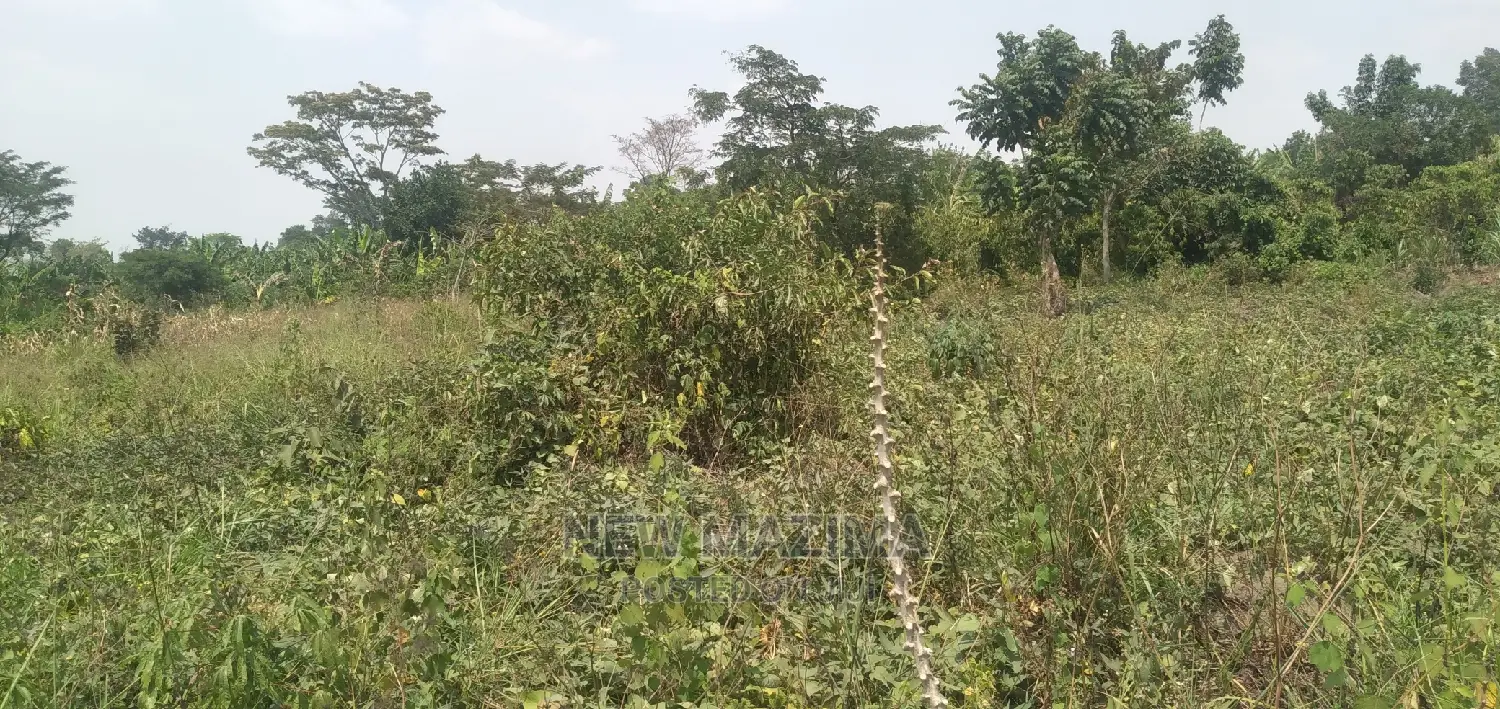 Very Hot 10 Acres Onquicksale Inheart of Nakaseke With Title in Luwero / Luwero