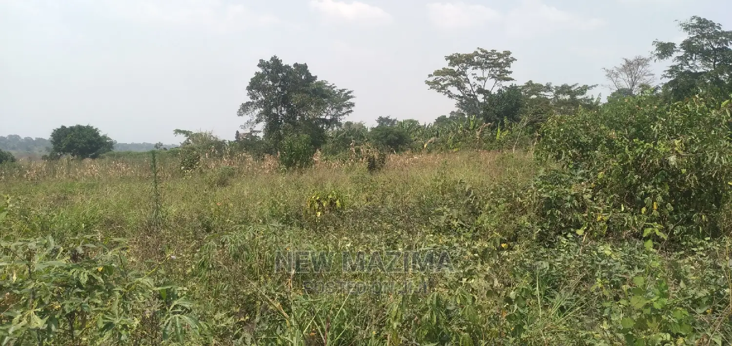 Very Hot 10 Acres Onquicksale Inheart of Nakaseke With Title in Luwero / Luwero
