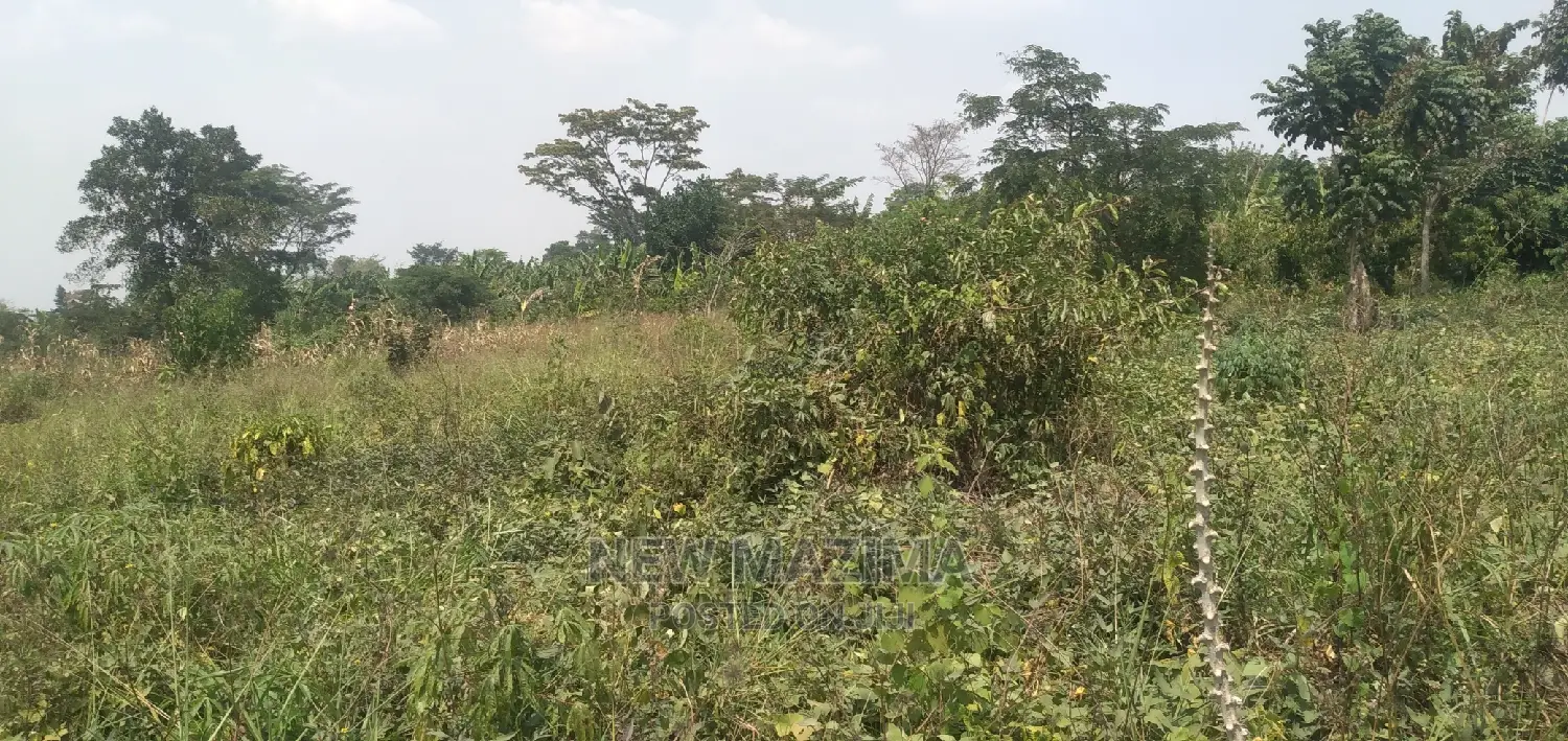 Very Hot 10 Acres Onquicksale Inheart of Nakaseke With Title in Luwero / Luwero