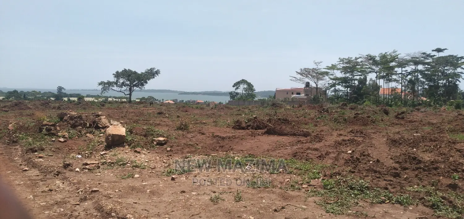 Kawuku Ntebe Rd Affordable Plots With Clear Lake View Onsale in Division A