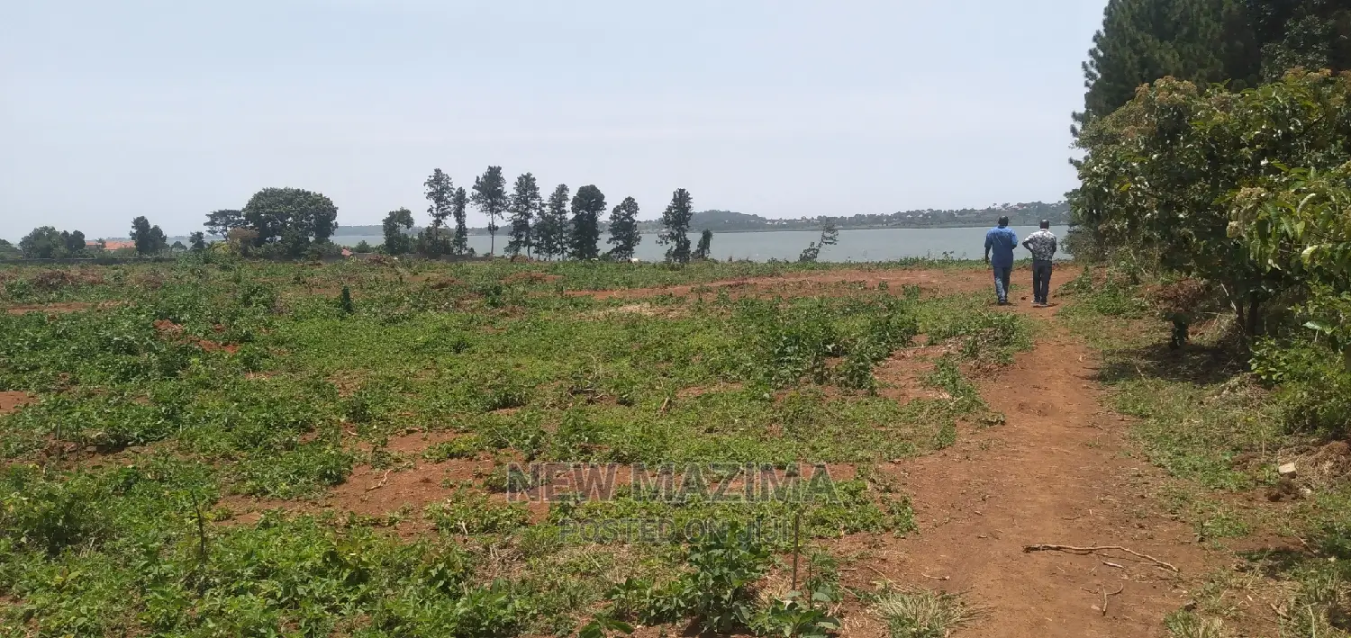 Kawuku Ntebe Rd Affordable Plots With Clear Lake View Onsale in Division A