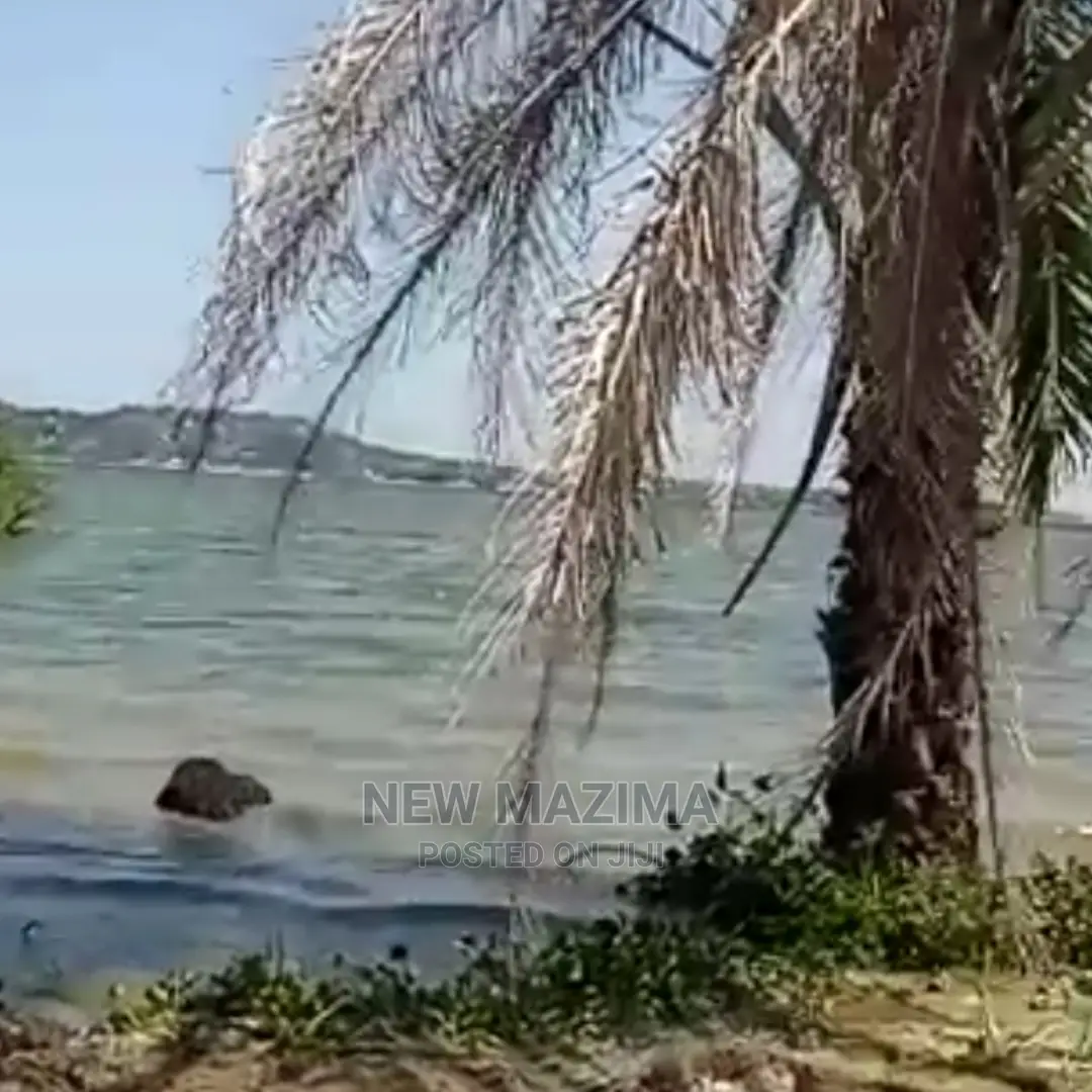 Very Strategic 4 Acres of Beach Land Forced Sale in Kasanje in Division A