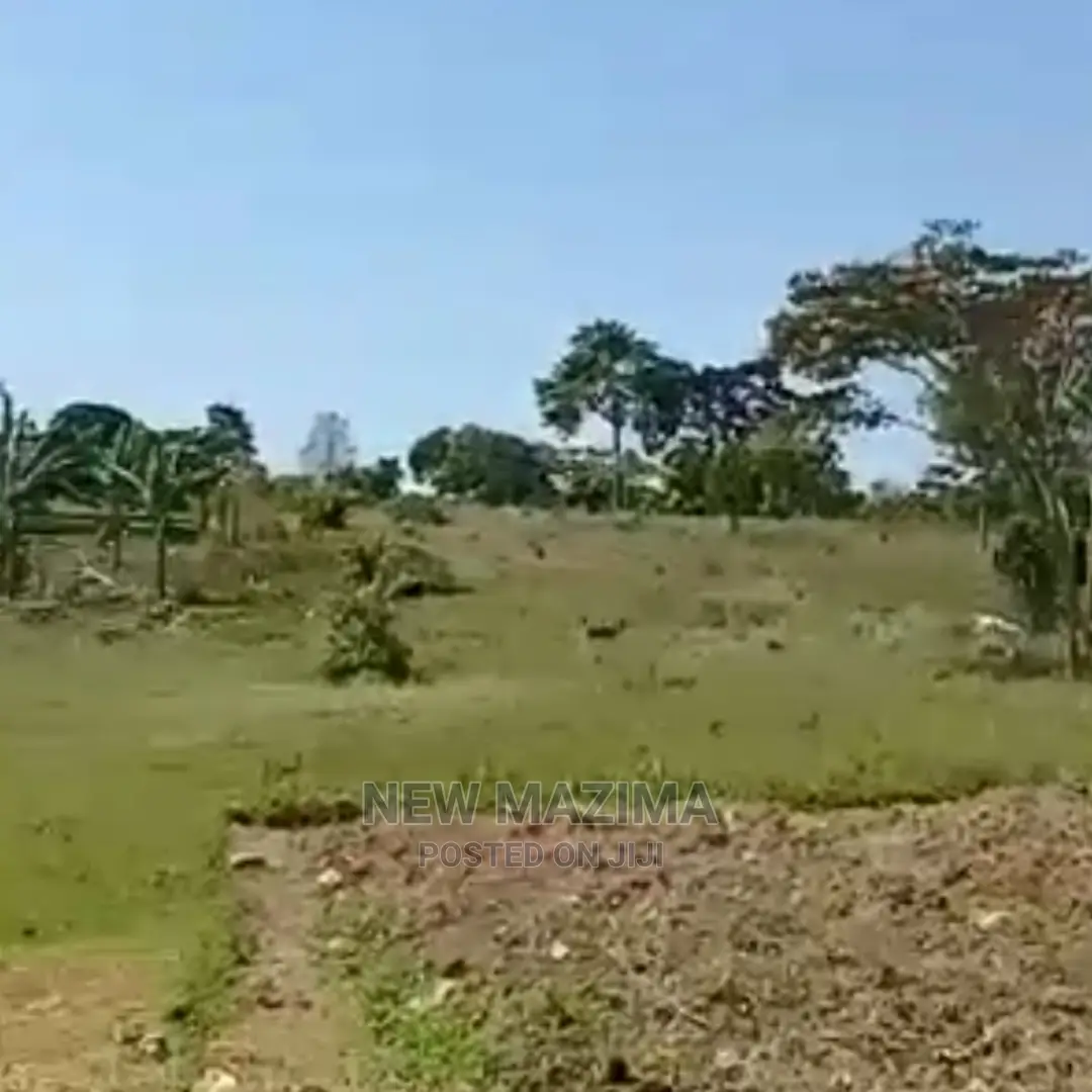 Very Strategic 4 Acres of Beach Land Forced Sale in Kasanje in Division A