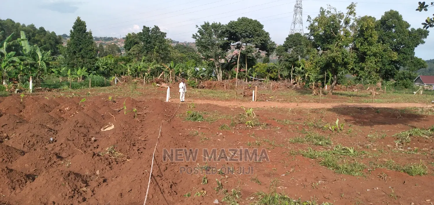 Kitende Ssisa Pride Plot Onforcedsale at Gd Price With Title in Division A