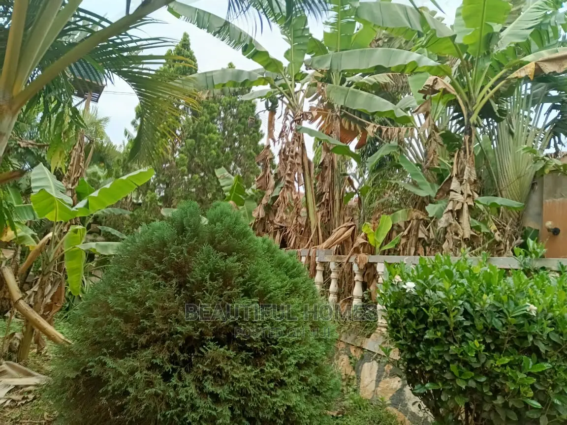 Furnished 3bdrm House in Kira for Sale in Kira