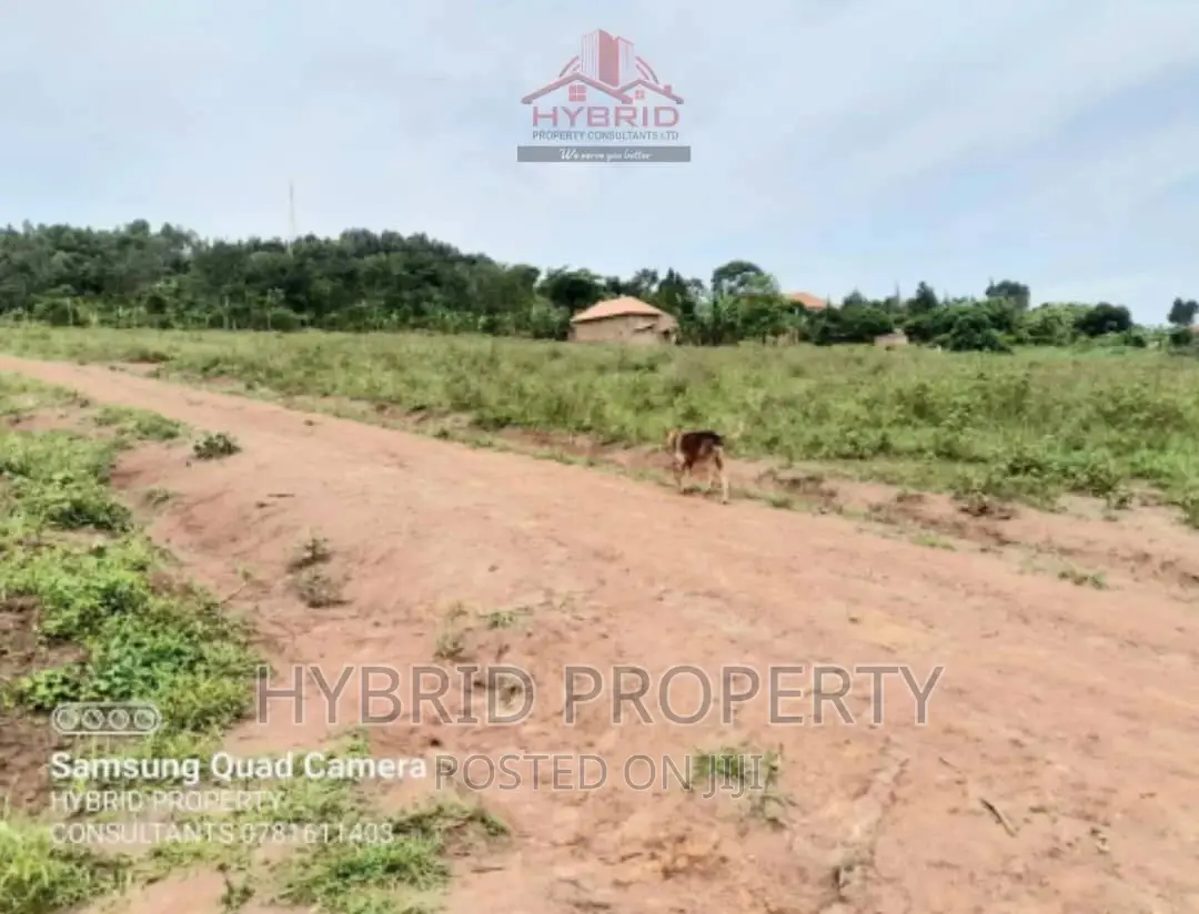 Prime Plots for Sale at Our Gobero~Muguluka Along Hoima Rd. in Kakiri