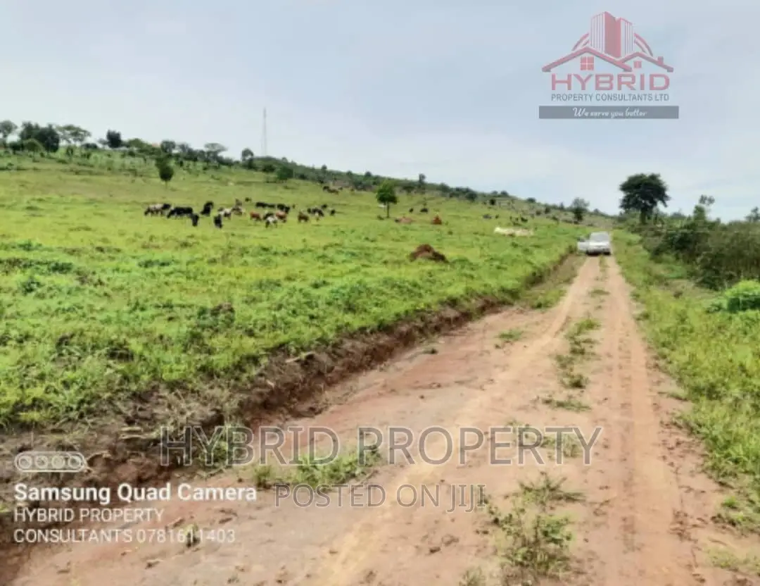 Prime Plots for Sale at Gobero Muguluka II Estate~Hoima Rd. in Kakiri