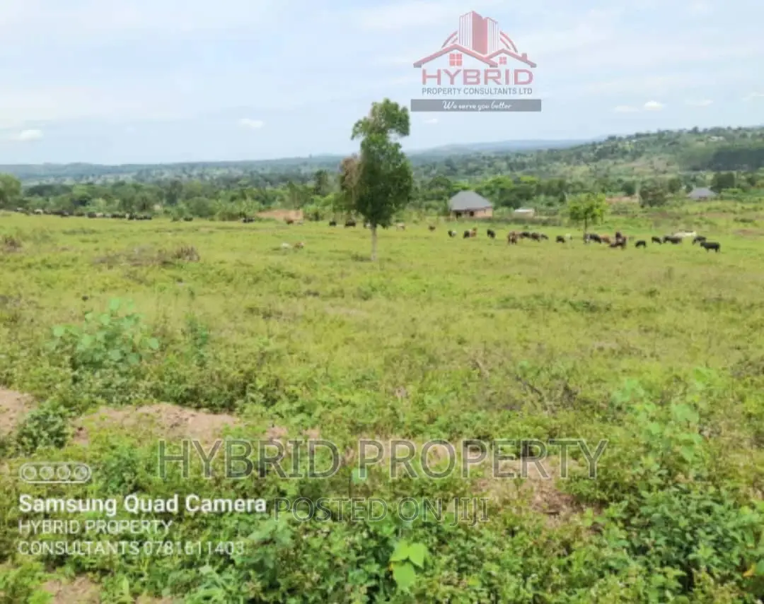 Prime Plots for Sale at Gobero Muguluka II Estate~Hoima Rd. in Kakiri