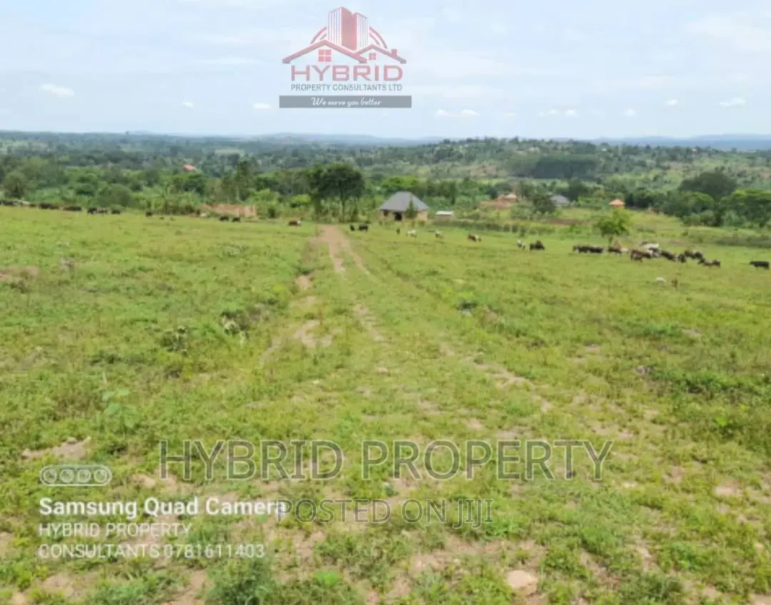 Prime Plots for Sale at Gobero Muguluka II Estate~Hoima Rd. in Kakiri