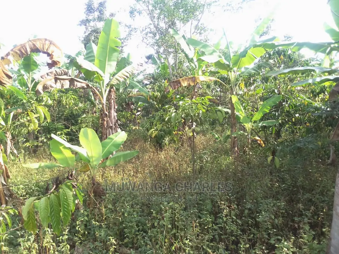 Land for Sale at Luwero in Central Division