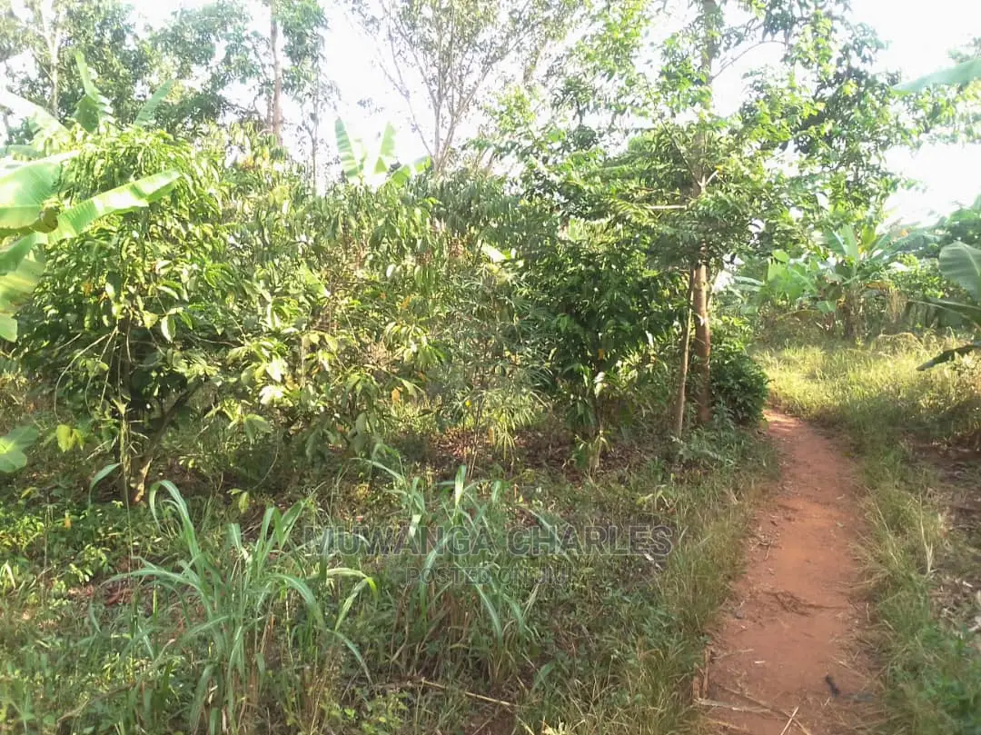 Land for Sale at Luwero in Central Division