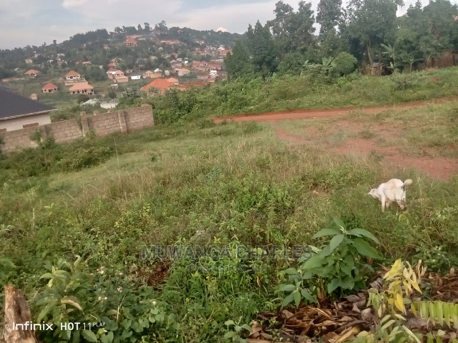 50by50ft Plot for Sale at Wakiso Nsube in Central Division