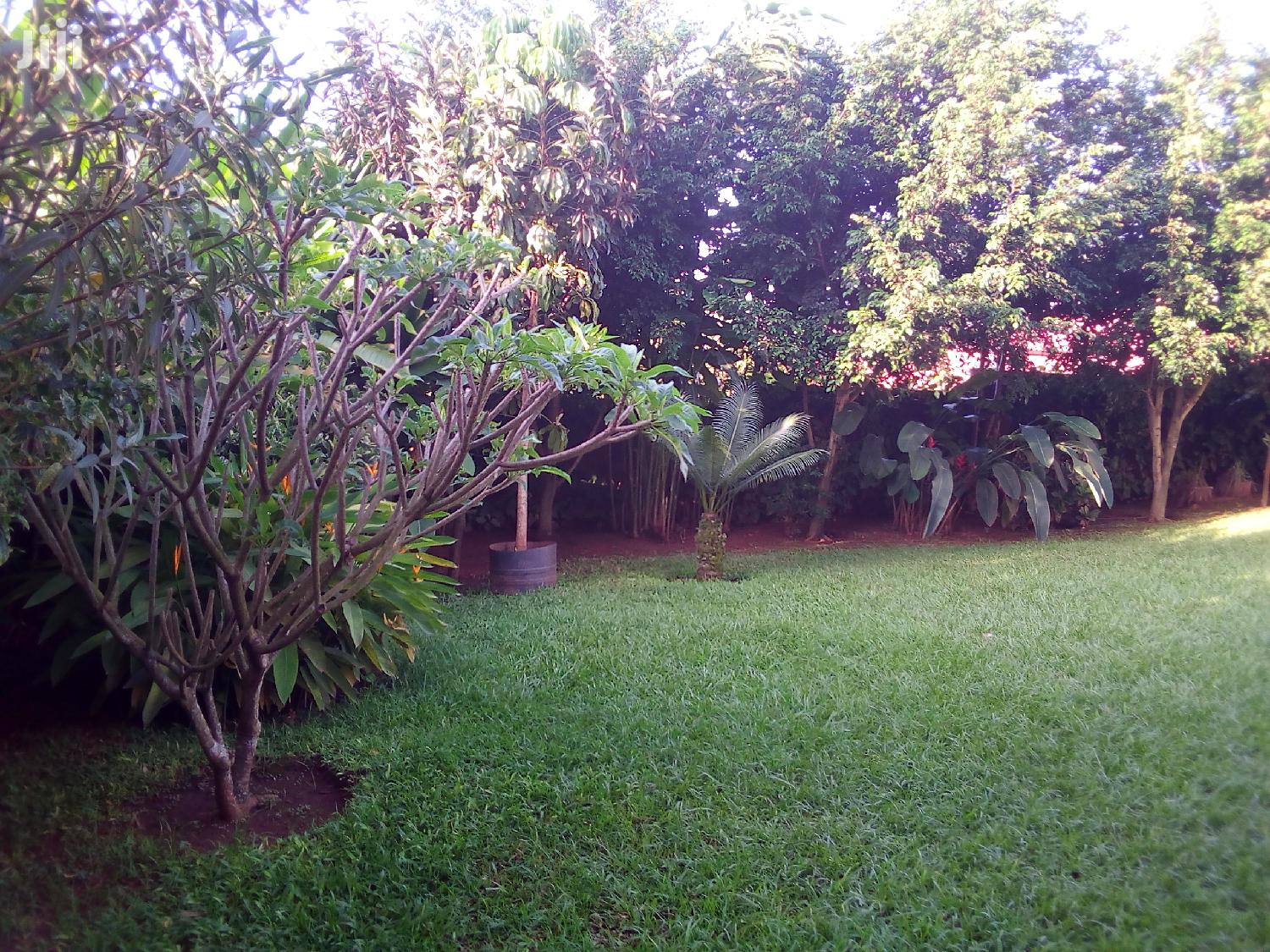 Three Bedroom House For Rent in Kampala