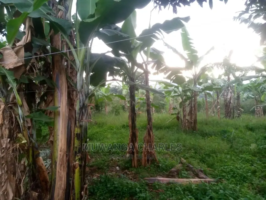 Plot for Sale at Wakiso in Central Division