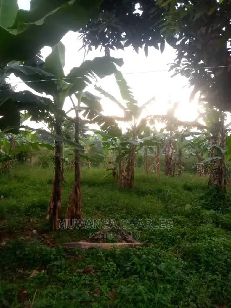 Plot for Sale at Wakiso in Central Division
