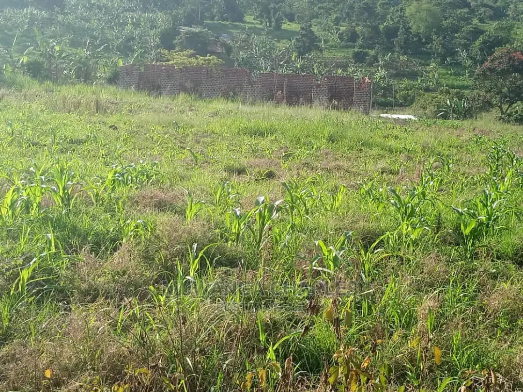 12decimals for Sale at Gayaza in Central Division