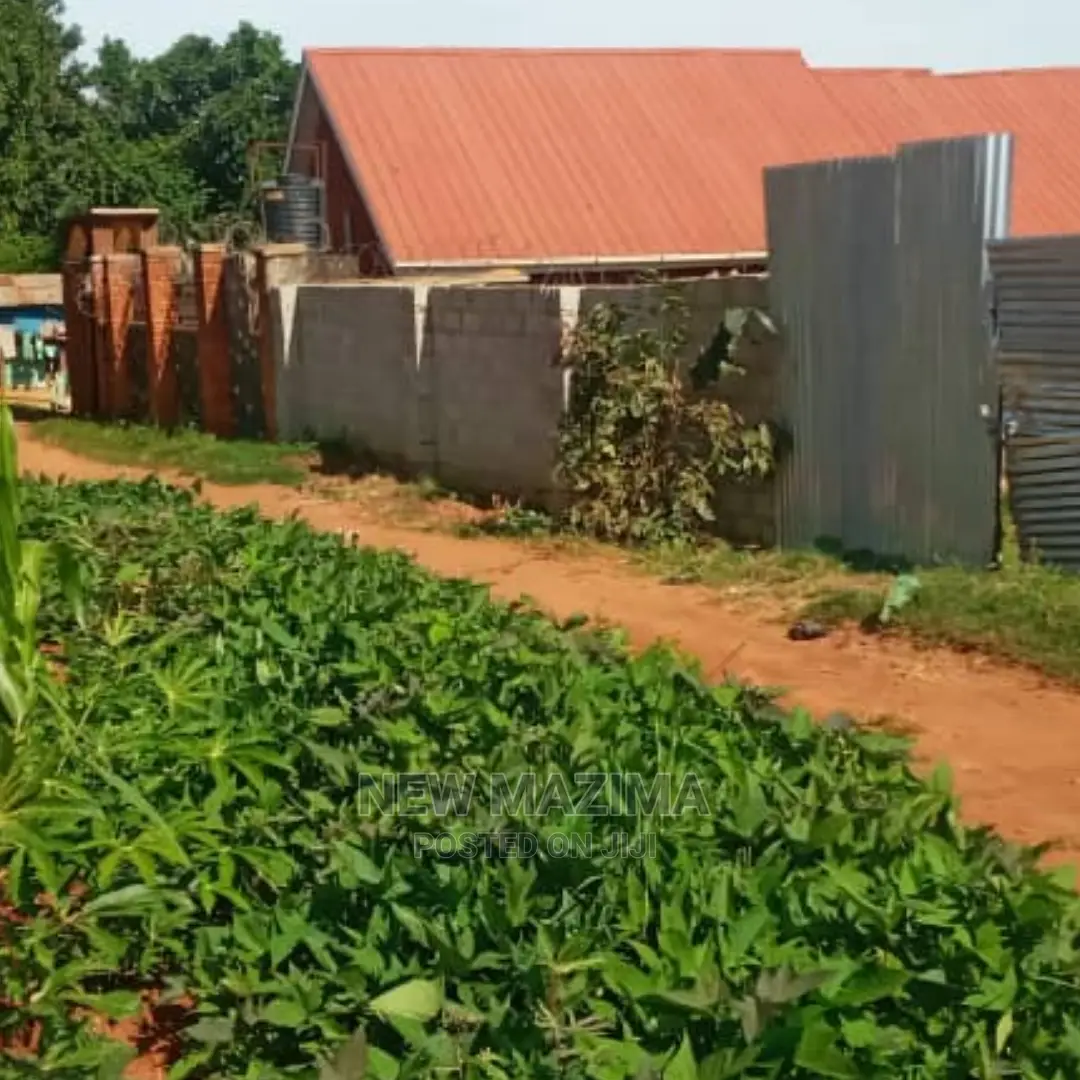 Very Prime Plot on Quicksale in Heart of Buziga at Gd Price in Division A