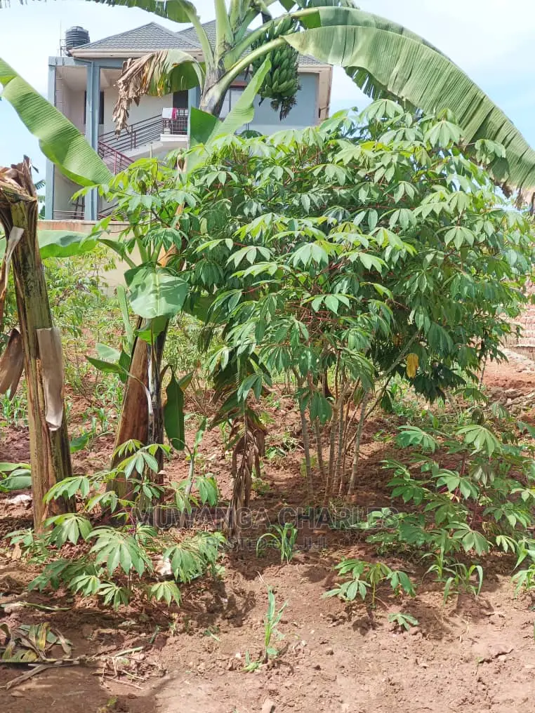 12decimals Plot for Sale at Kira Mulawa in Central Division