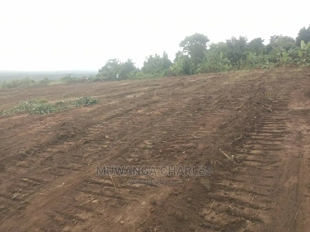 100by50ft Plot of Land for Sale at Kiwenda in Central Division