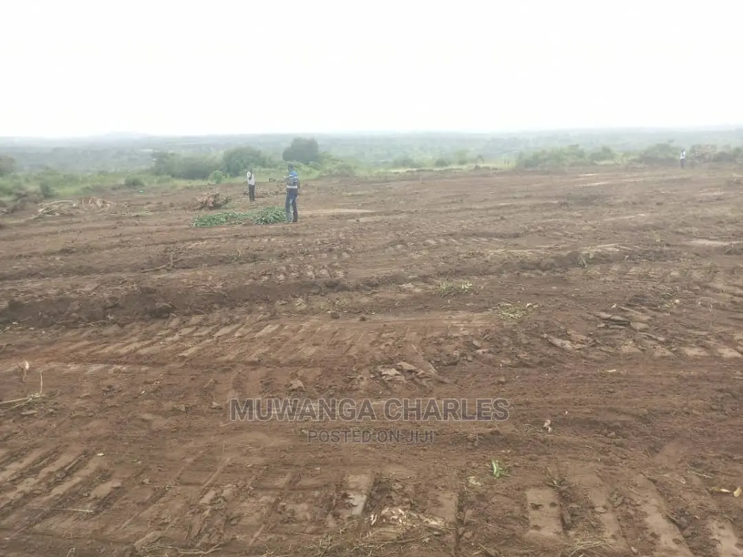 100by50ft Plot of Land for Sale at Kiwenda in Central Division