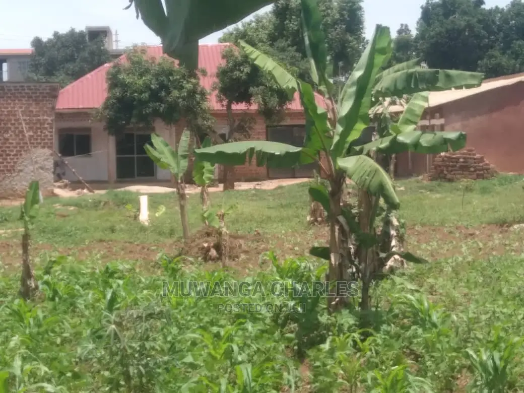 15decimals Plot for Sale at Kungu in Central Division