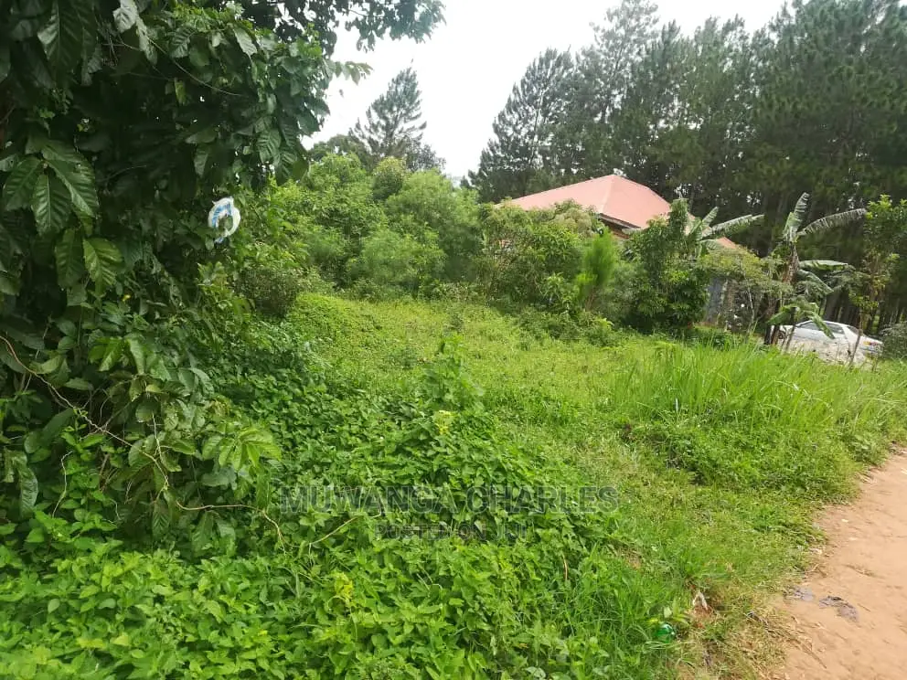 12decimals Plot for Sale at Nakwero in Central Division