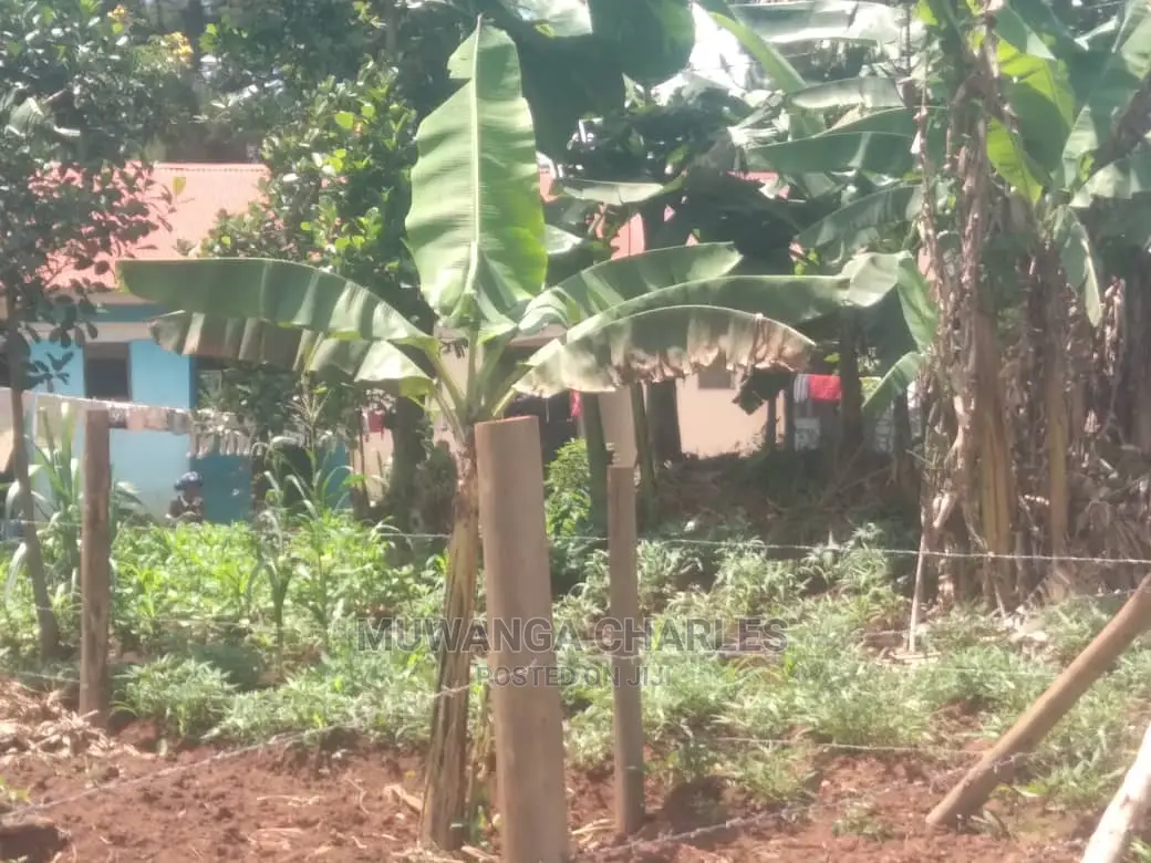 12decimals Plot for Sale at Kira in Central Division