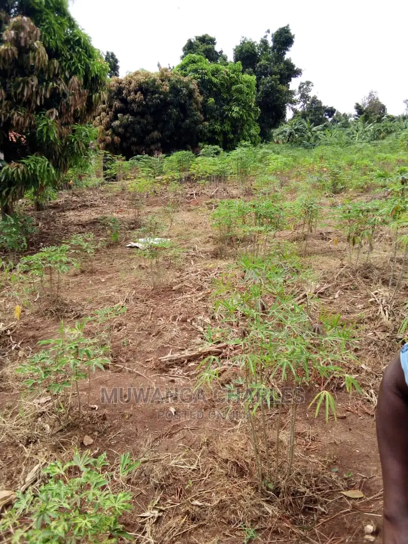 25decimals Plot for Sale at Kyanja Kungu in Central Division