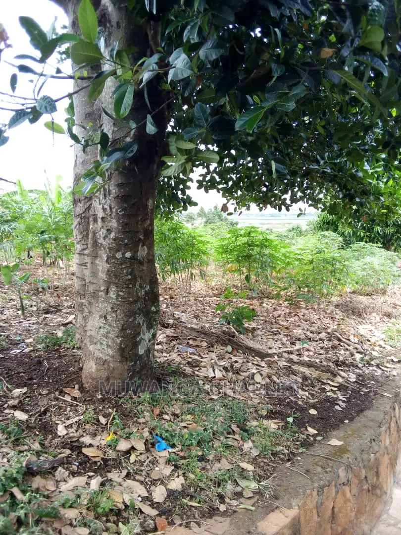 25decimals Plot for Sale at Kyanja Kungu in Central Division