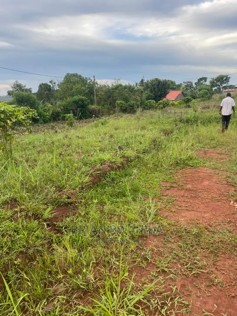 Plot of Land in Nakilebbe Along Masaka Rd(46*60*80*47) in Mpigi / Mpigi