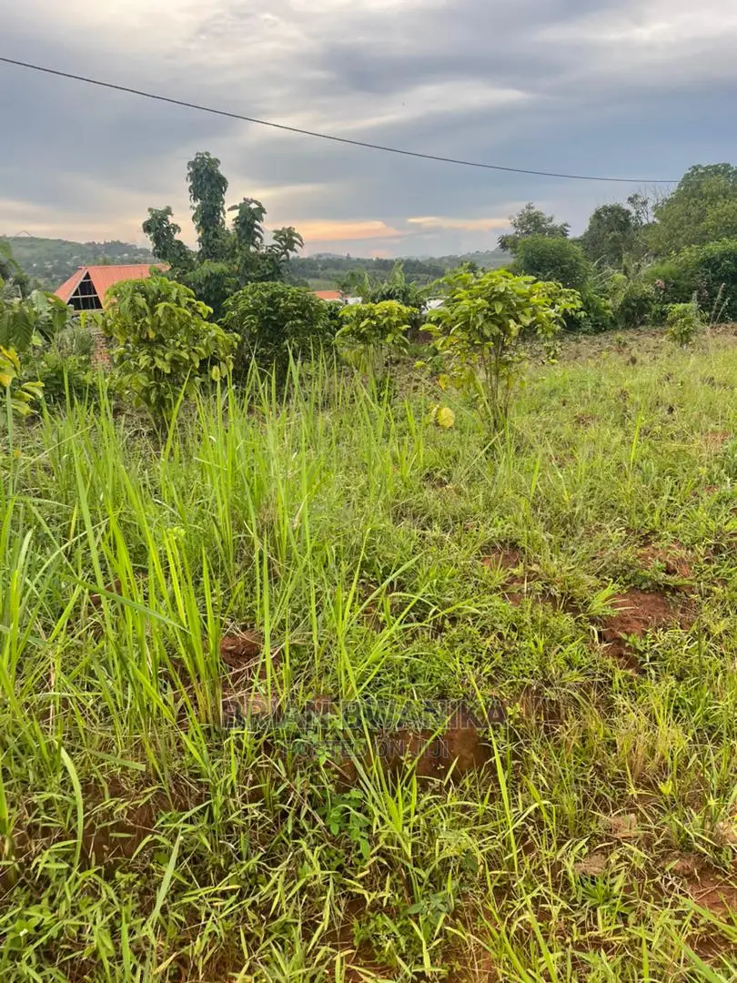 Plot of Land in Nakilebbe Along Masaka Rd(46*60*80*47) in Mpigi / Mpigi