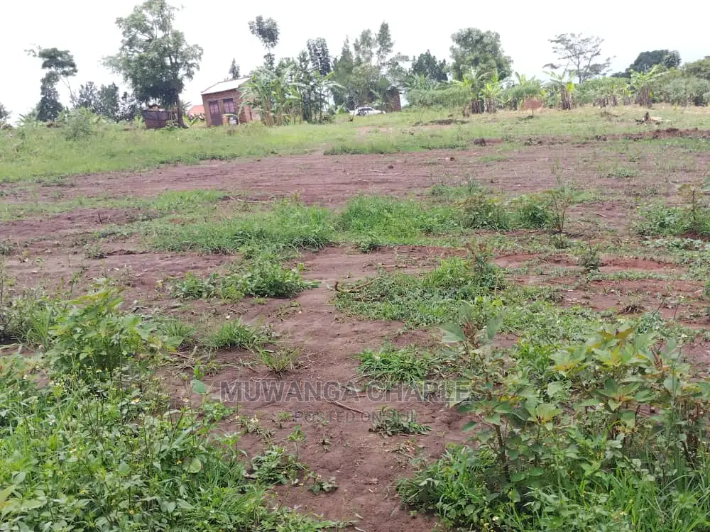 Plots Available for Sale at Gayaza Namaina in Central Division