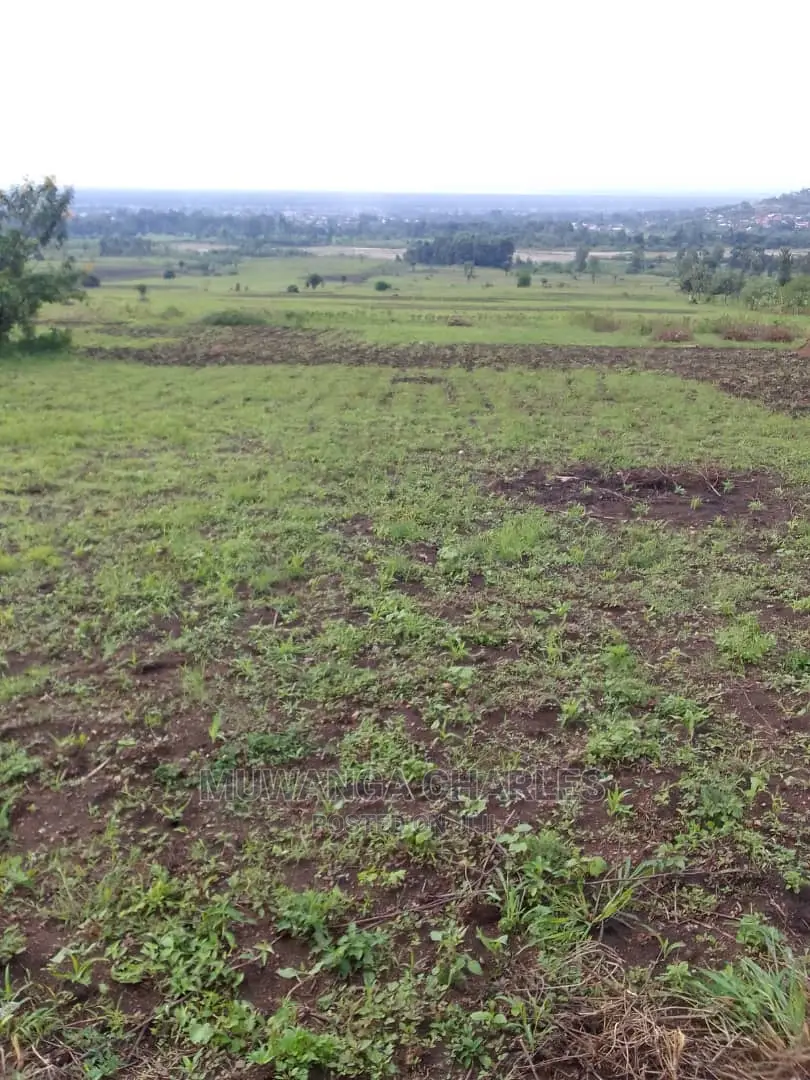 Land for Sale at Kikyusa in Central Division