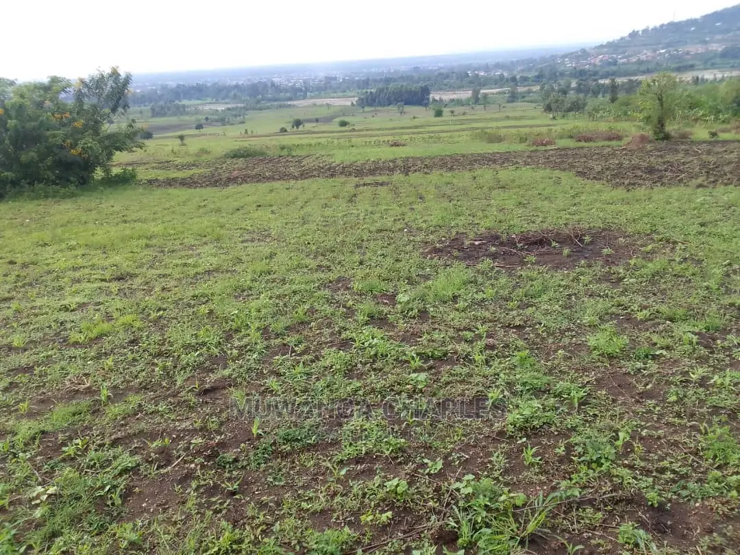 Land for Sale at Kikyusa in Central Division