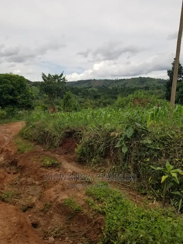 10acrs of Land for Sale at Luwero in Central Division